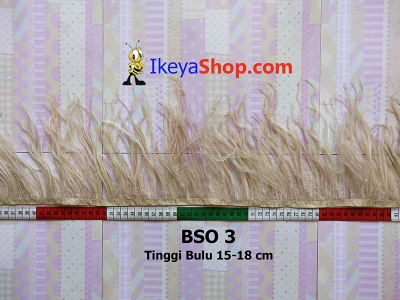 BSO 3  large2